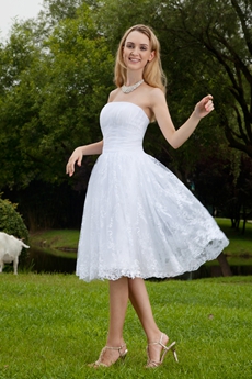 Bohemian Strapless Knee Length Boho Wedding Dress 