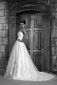 Stunning One Shoulder White Tulle Princess Wedding Dress Woth Feather   