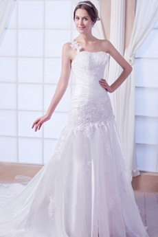 One Straps A-line Organza Dropped Waist Plus Size Wedding Gown