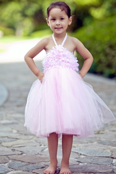 Backless Halter Pink Tutu Toddler Flower Girl Dress 