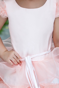 Short Sleeves Knee Length Ball Gown Pink Little Girls Party Dress 