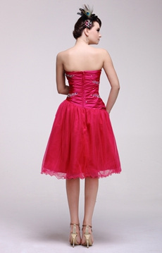 Strapless Knee Length Fuchsia Junior Prom Gown