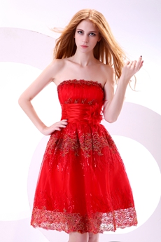 Chic Strapless A-line Mini Length Red Sweet Sixteen Dress With Feather 