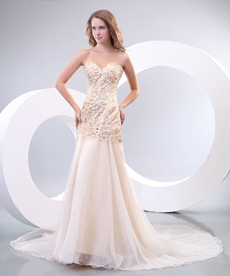Flattering A-line Champagne Organza Pageant Dress With Beads 