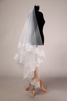 Charming Lace Tulle Wedding Veil 