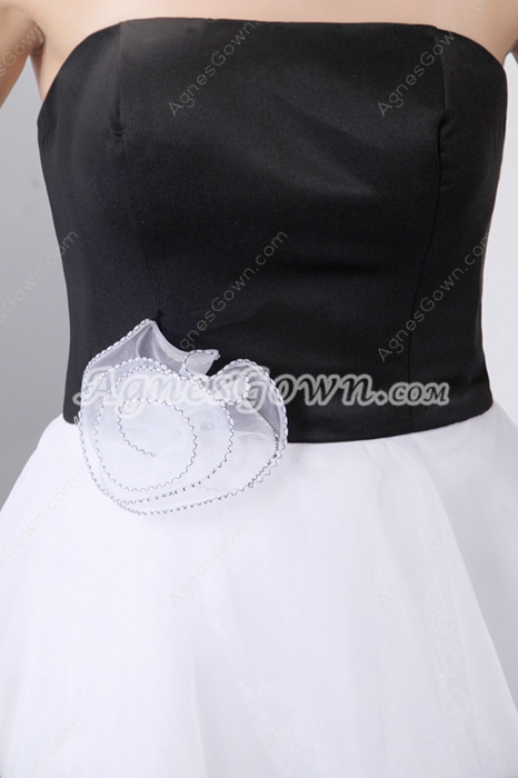 Chic Black & White Damas Dress 