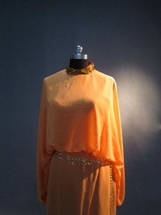 Vintage Orange Long Sleeves Evening Dress