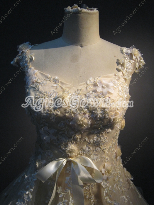 Champagne Floral Princess Quinceanera Dresses With Lace Appliques  