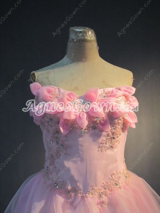 Traditional Pink Plus Size Quinceanera Dresses with Corset