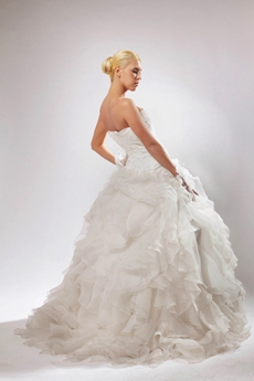 Classic Ball Gown Organza Ruffled Wedding Dress With Lace 