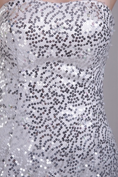 Sparkled Silver Cocktail Dress 