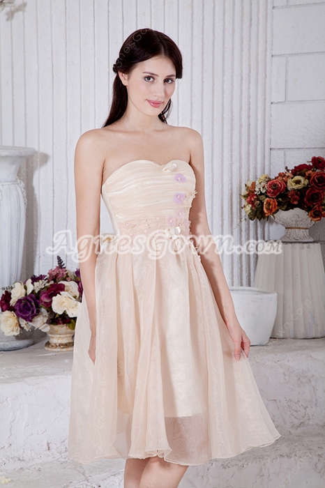 Knee Length Champagne Organza Junior Prom Dress 