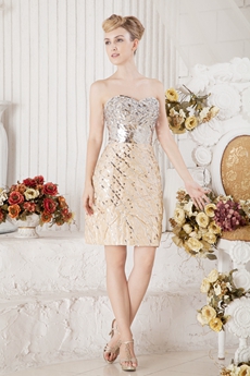 Luxurious Silver And Champagne Wedding Guest Dress 
