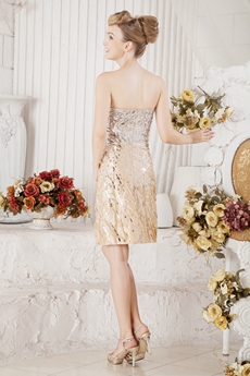 Luxurious Silver And Champagne Wedding Guest Dress 
