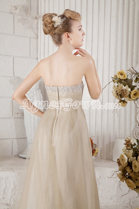 Pretty Beige Tulle Prom Party Dress 