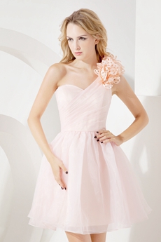 Charming One Shoulder Pink Organza Sweet XVI Dresses