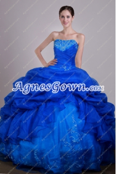 Organza Royal Blue Ball Gown Sweet 15 Dress With Embroidery 