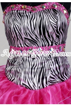Zebra And Fuchsia Sweet 15 Dress 