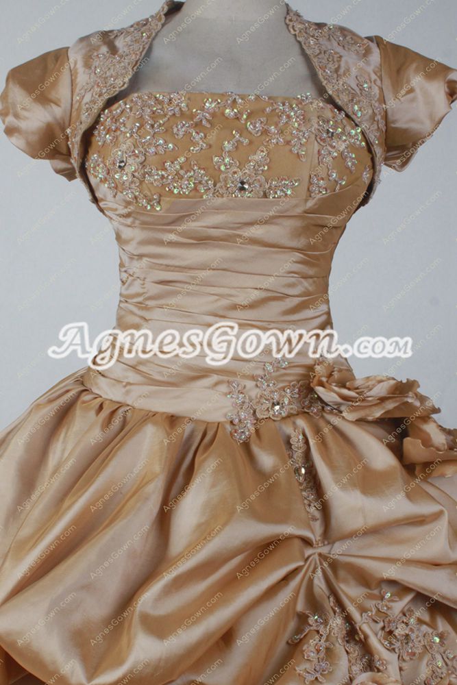 Exclusive Champagne Taffeta Ball Gown Vestidos de Quinceañera Dress